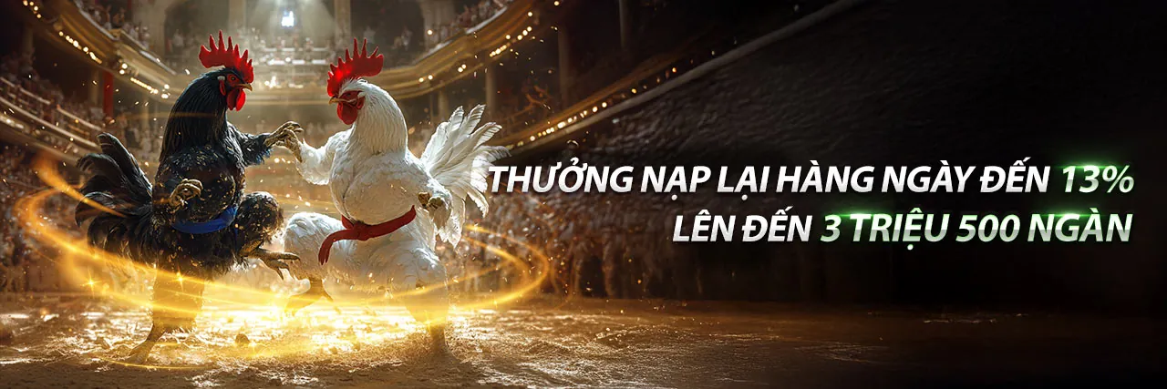 Lợi Ích Khi Cá Cược Đá Gà tại hip club