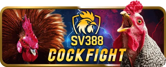Đặt cược và quay hũ
