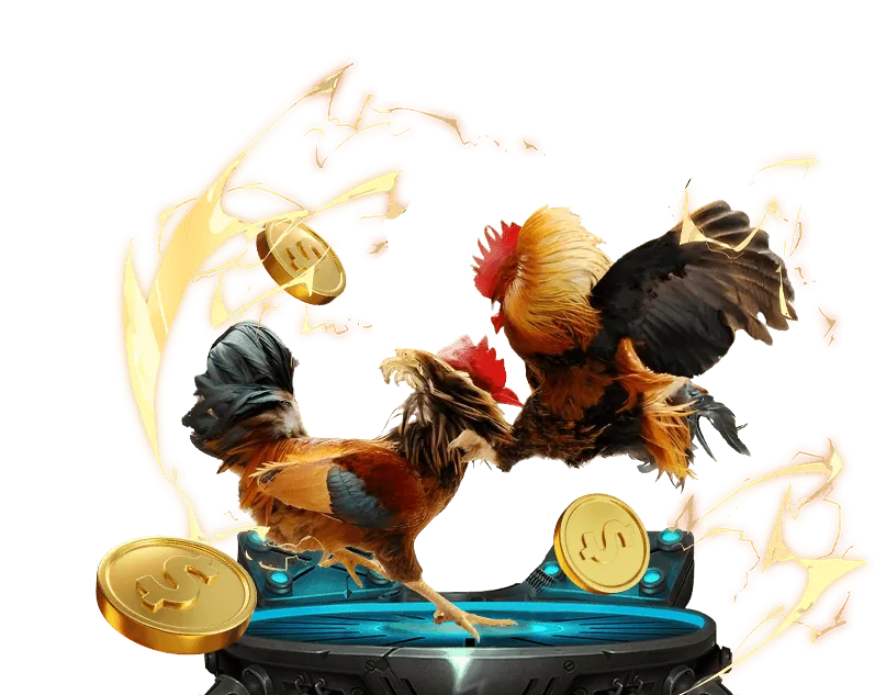 Ưu Đãi Chào Mừng newba5